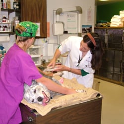 Tomichi Pet Care Center