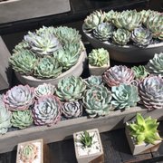 Photo of Melrose Place Farmer's Market - Los Angeles, CA, United States