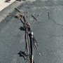 BLAC Rooter Service