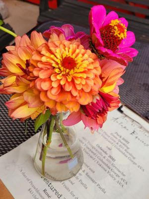 AniChe Cellars by null