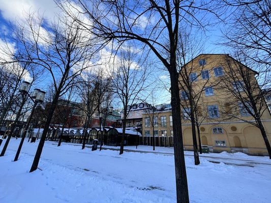 Kungsträdgården by null