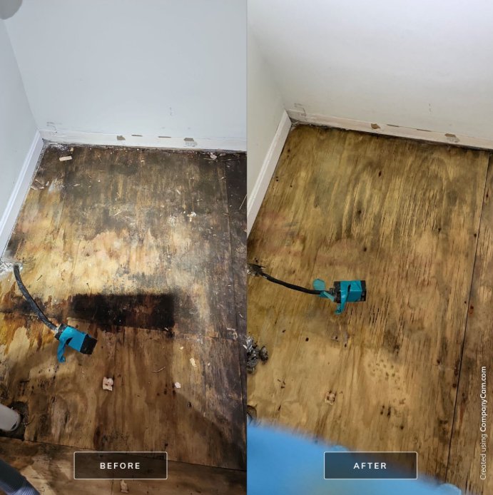 Green Home Solutions - mold inspector in Houston, TX