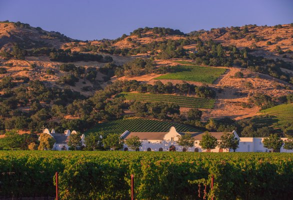 Chimney Rock Winery by null