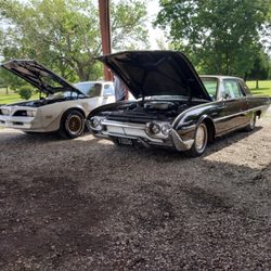 Mr. Ed's Auction Co - Got top dollar for my grandmother's Trans-Am and T-Bird.