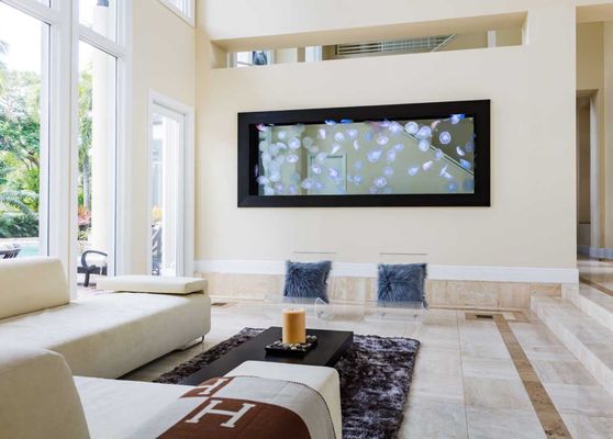 Jellyfish Art by null