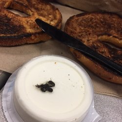 Panera Bread - Absolutely disgusted. I found this hairy nastiness on the cream cheese.