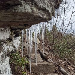 Wildcat Rock Trail