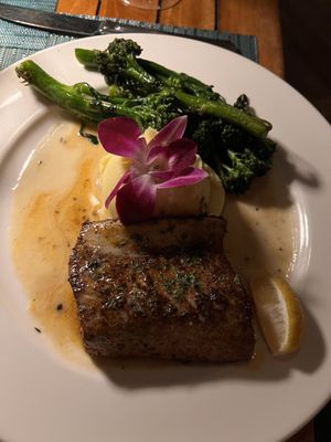 Butterfly Café by null