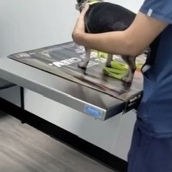 Golden Valley Animal Care - Dr.Gomez and Oreo
