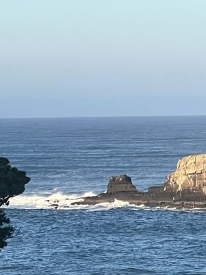 Inn At Otter Crest by null