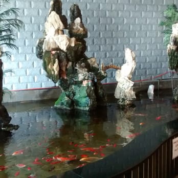 New China Buffet - Here is the koi fountain - Chinese Near Me - Frankfort, Kentucky New China Buffet - Here is the koi fountain - Chinese Near Me - Frankfort, Kentucky