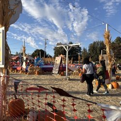 Queens Pumpkin Patch