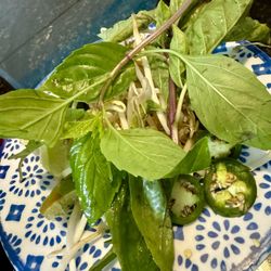 Pho Hoang Restaurant - Yummy fresh Toppings