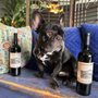 Photo of Rancho Maria Wines