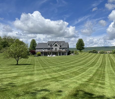 MISKA’S LAWN AND LANDSCAPING - Updated May 2026 - 251 Spring St, State ...