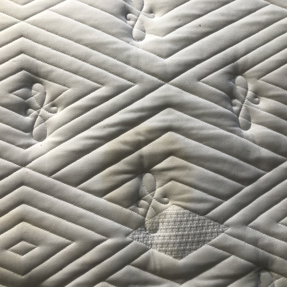 Beyond Carpet and Tile - Pet accident on mattress before - Carpet Cleaning Near Me - Nipomo, California