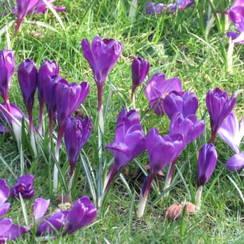Arboretum Park - Parks Near Me - Nottingham, NTT