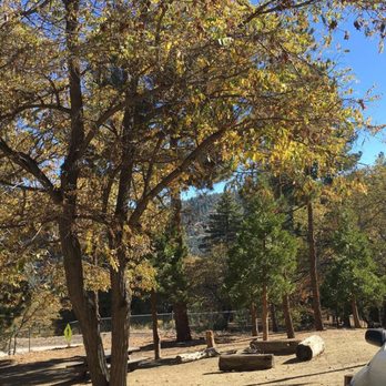 Lake Campground - Campgrounds Near Me - Wrightwood, California Lake Campground - Campgrounds Near Me - Wrightwood, California