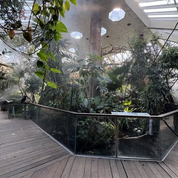 Central Park Zoo - Bird area you can wander around in - Zoos Near Me - New York, New York
