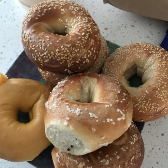 St. Pete Bagel Co - Bagels Near Me - Largo, Florida