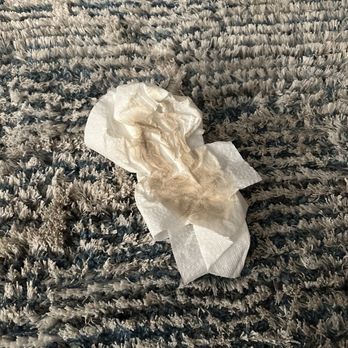 Steam Master Cleaning - Carpet Cleaning Near Me - Houston, Texas