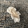 Steam Master Cleaning and Restoration gift card
