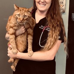 Southern Hills Veterinary Hospital