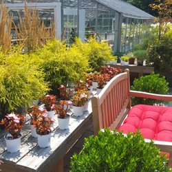 Oak Hill Nurseries - Elegance.