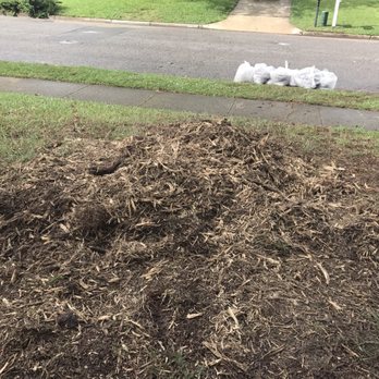 Poor Folks Tree Service - No more stump - Tree Services Near Me - Virginia Beach, Virginia Poor Folks Tree Service - No more stump - Tree Services Near Me - Virginia Beach, Virginia