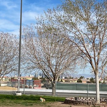Desert Breeze Dog Park - Dog Parks Near Me - Las Vegas, Nevada Desert Breeze Dog Park - Dog Parks Near Me - Las Vegas, Nevada