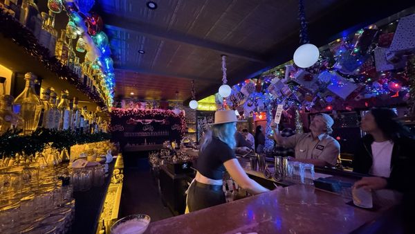 Swan Bar by null