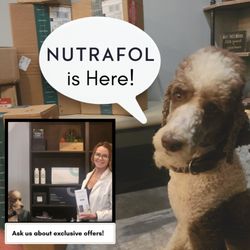 Advanced Hair Aesthetics - Now in stock! Nutrafol is the number 1 dermatologist recommended nutraceutical for men and women! Our salon prince, Brooks is a fan!
