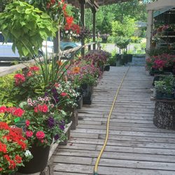 Growers' Florist & Greenhouses - So many to choose from