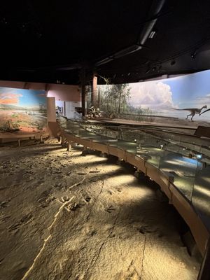 Dinosaur State Park by null