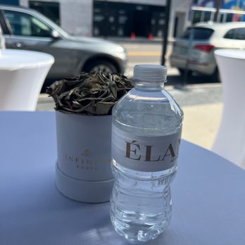 ÈLAN Aesthetics - Skin Care Near Me - Tampa, Florida ÈLAN Aesthetics - Skin Care Near Me - Tampa, Florida