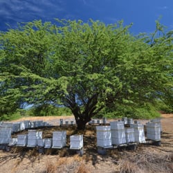 Rare Hawaiian Honey Company