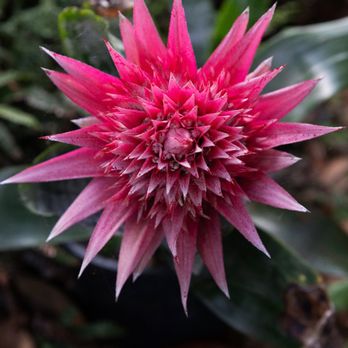 Kula Botanical Gardens - Parks Near Me - Kula, Hawaii