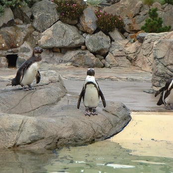 Océarium du Croisic - Aquariums Near Me - Croisic Le, 44