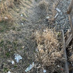 Gotta love the litter bugs.....