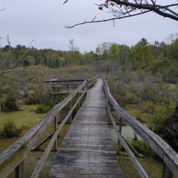 Woodland Dunes Nature Center - Elevated walkway