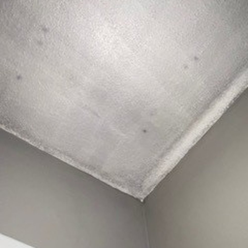 SERVPRO of Charlottesville - After "Cleaned" - Damage Restoration Near Me - Charlottesville, Virginia SERVPRO of Charlottesville - After "Cleaned" - Damage Restoration Near Me - Charlottesville, Virginia