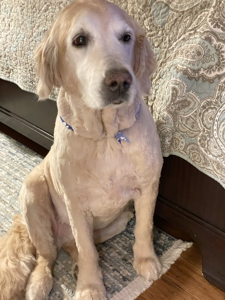 NICE DIGGZ Updated October 2024 44 Photos & 16 Reviews 5094