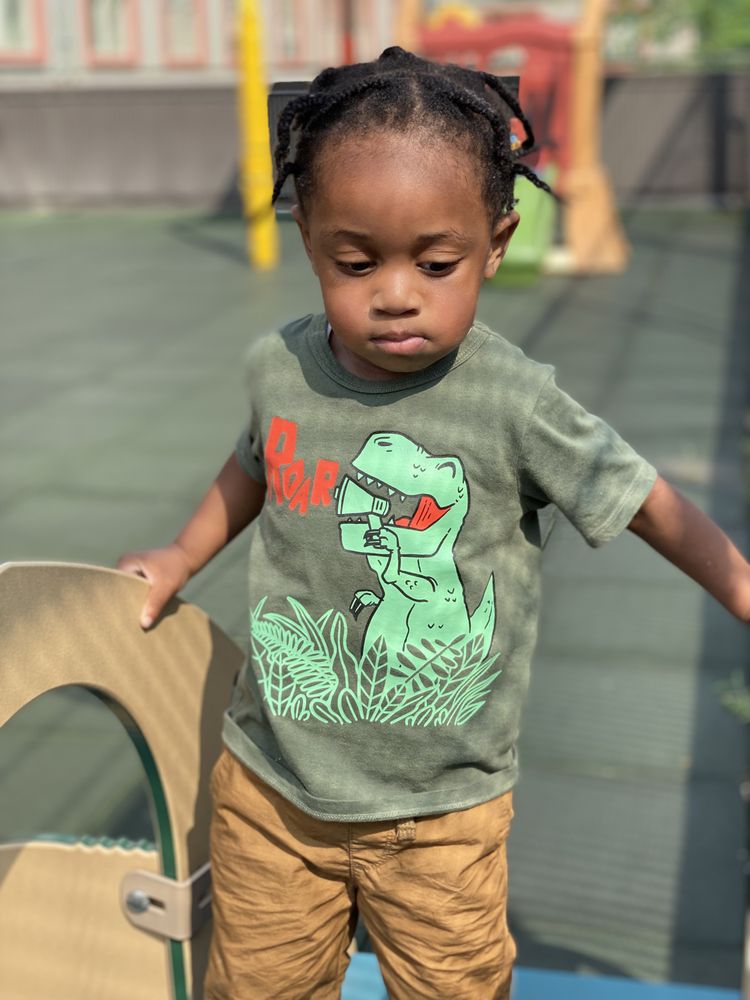 BUMBLEBEES R US RED HOOK Updated September 2024 19 Photos 76 Lorraine St, Red Hook, New