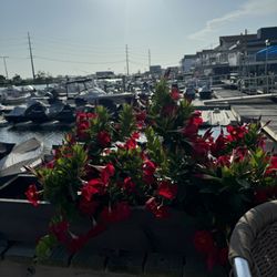 The Dock - View from our table.