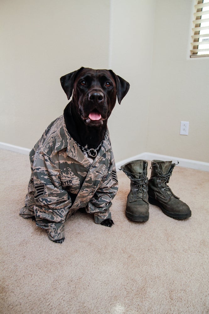 SGT. POOPER SCOOPER Hill Air Force Base, Utah Pet Waste Removal