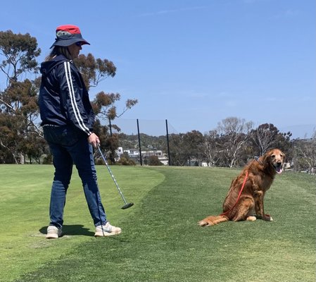 Goat Hill Park Golf Course by null