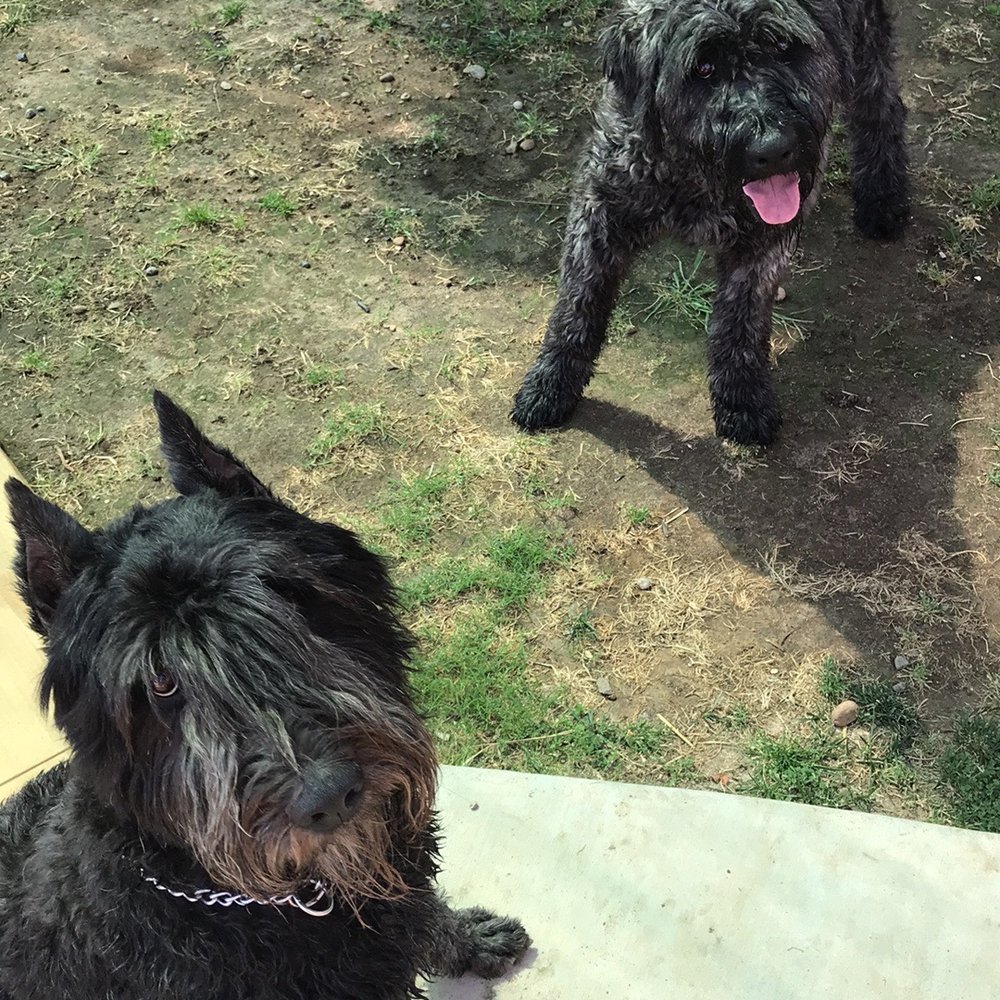 Tesoro Viejo Fire Station - Stella and Gracie says thank you for finding us! - Fire Departments Near Me - Madera, California Tesoro Viejo Fire Station - Stella and Gracie says thank you for finding us! - Fire Departments Near Me - Madera, California