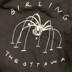Birling - Back of the Maman hoodie in black