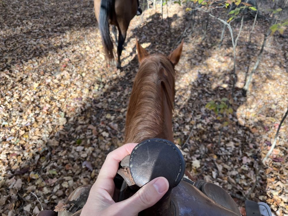 Sunny Acres Stables Logo