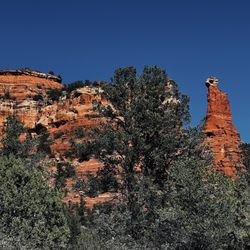 Earth Wisdom Jeep Tours
